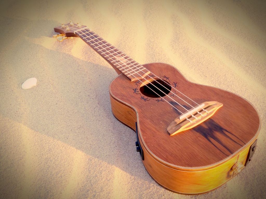 Micha stimmt die&nbsp;Uke