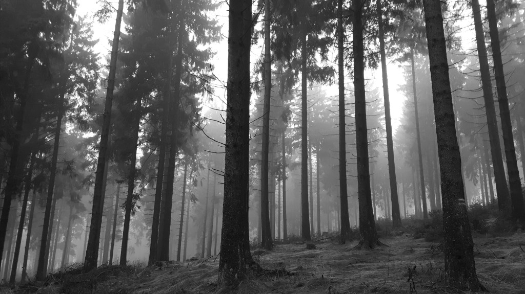 #zitat: Für die&nbsp;Liebe