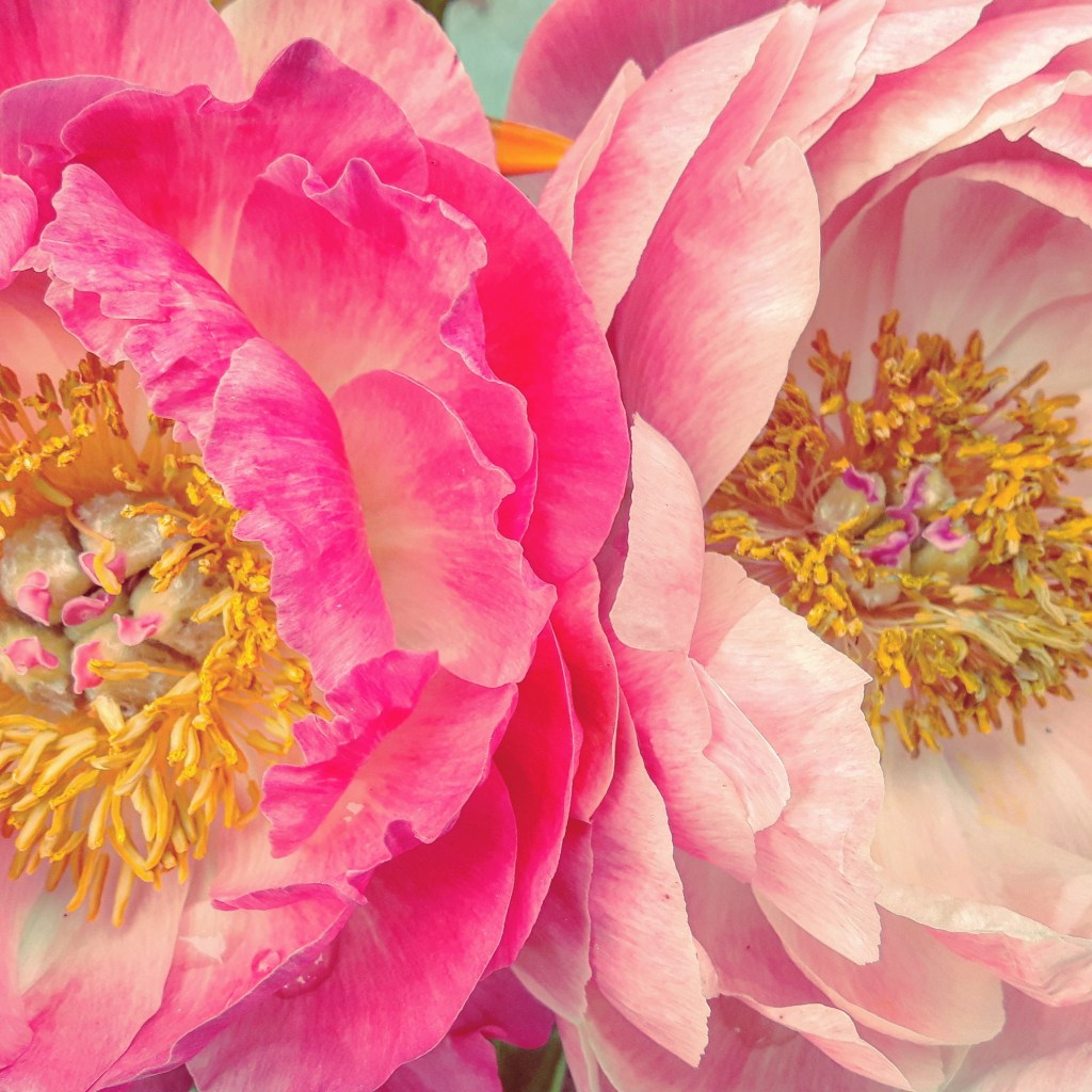 Schönen 1. Mai Euch&nbsp;allen!