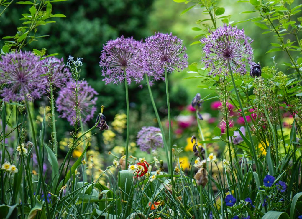 #life: Wie wir fast unbemerkt ein Häuschen gekauft&nbsp;haben
