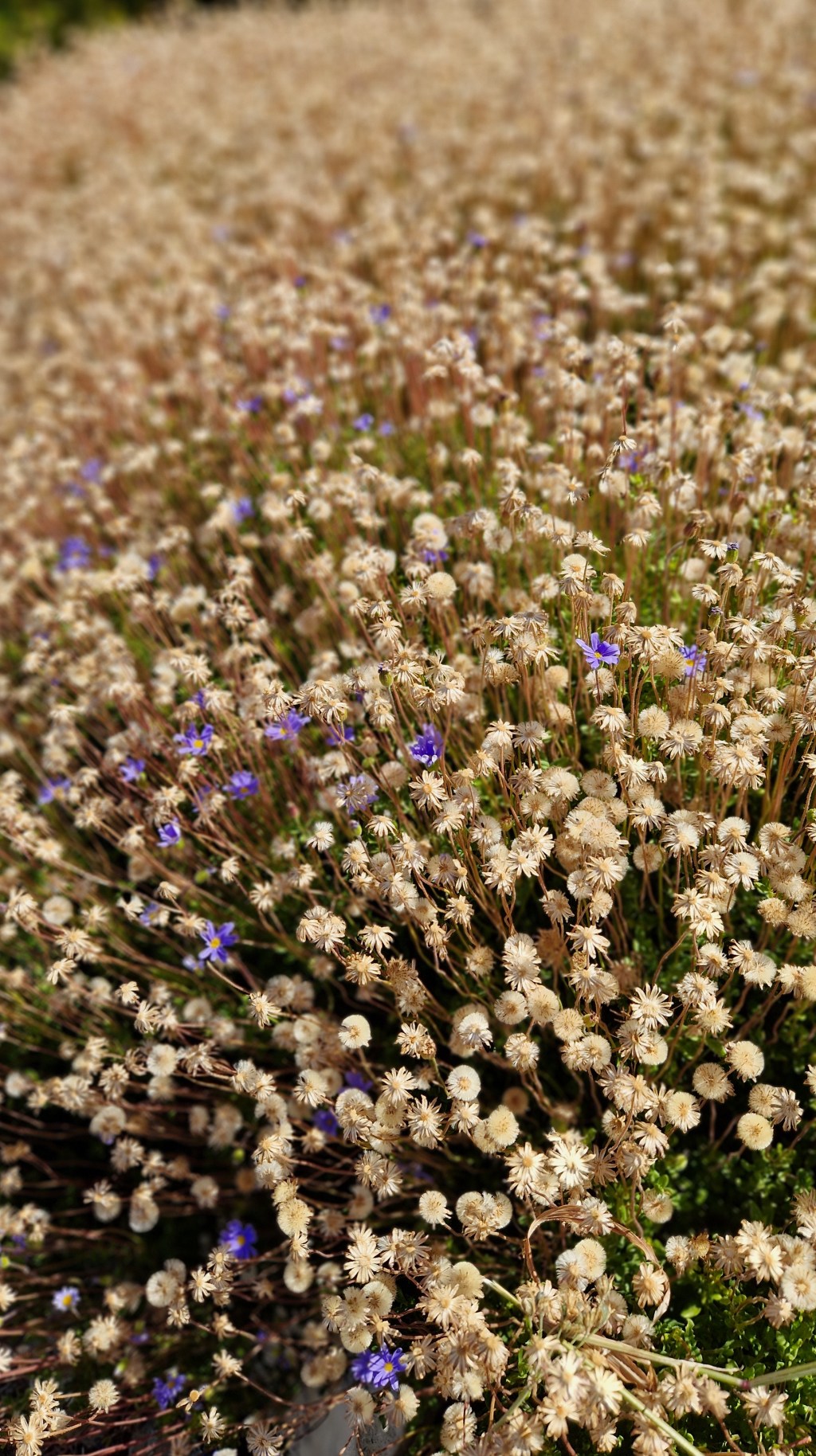 #psyche: Meditation beim&nbsp;Wandern