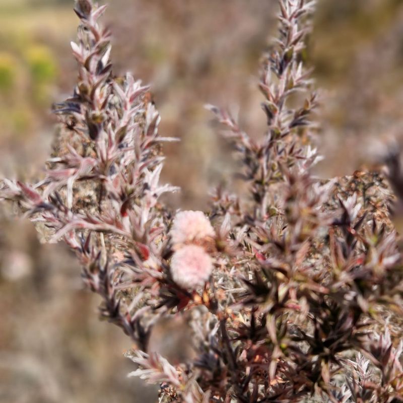 #psyche: Leben mit&nbsp;Profil