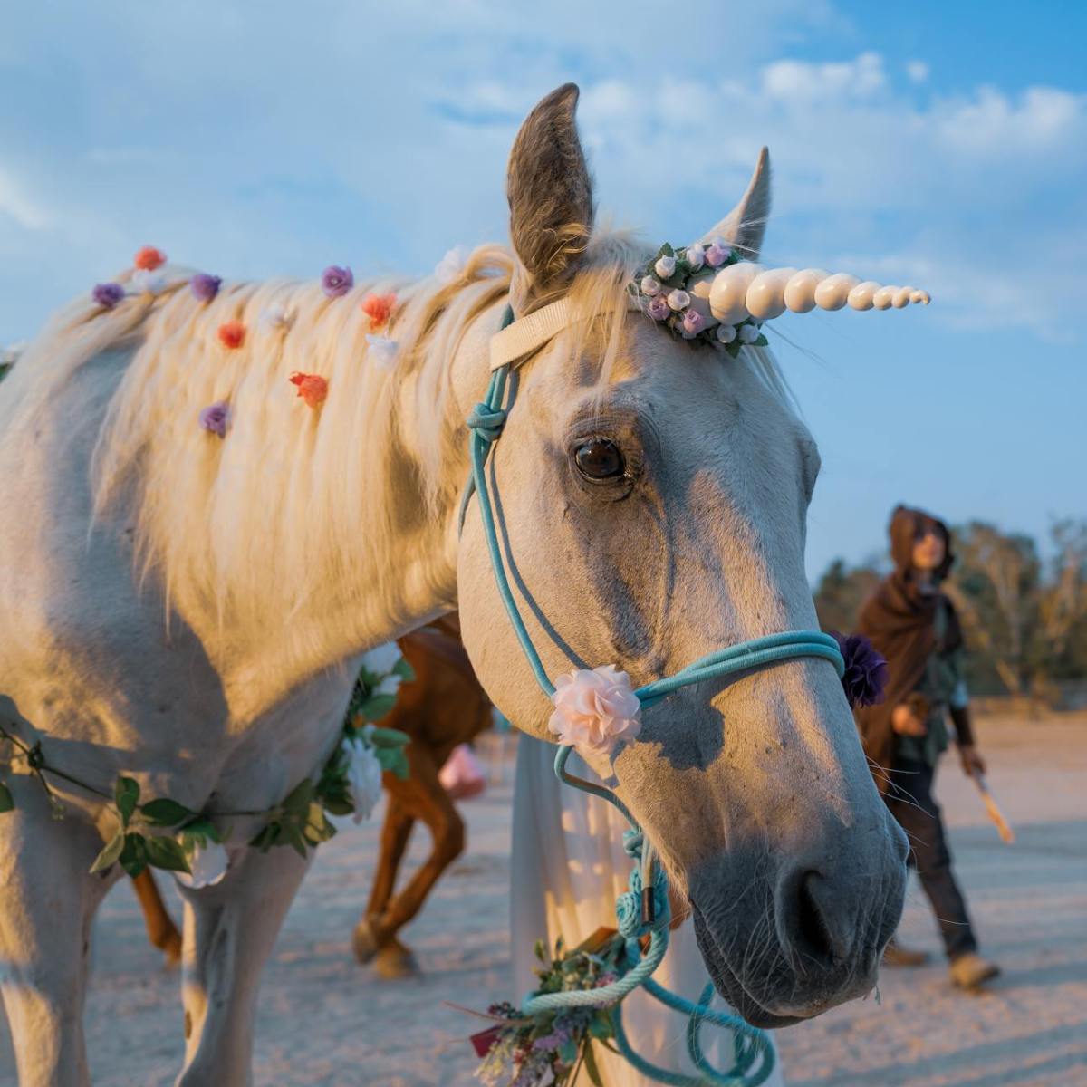 #psyche: Einhornpower
