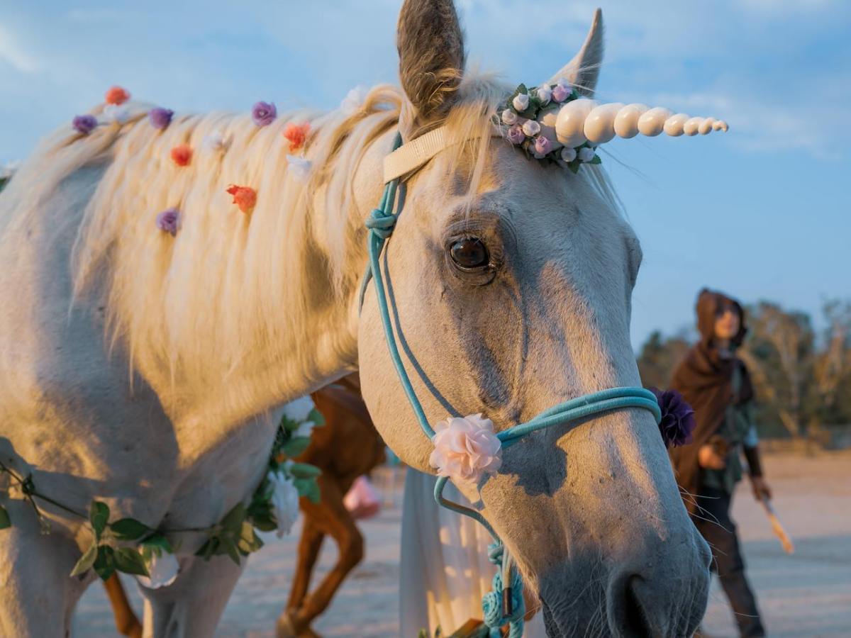 #psyche: Einhornpower